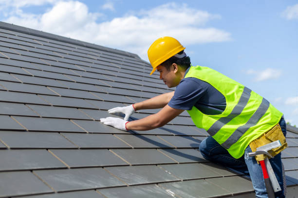 Best Roof Repair Services  in Hazel Crest, IL
