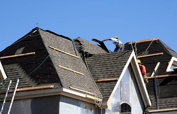 Best Roof Leak Repair  in Hazel Crest, IL